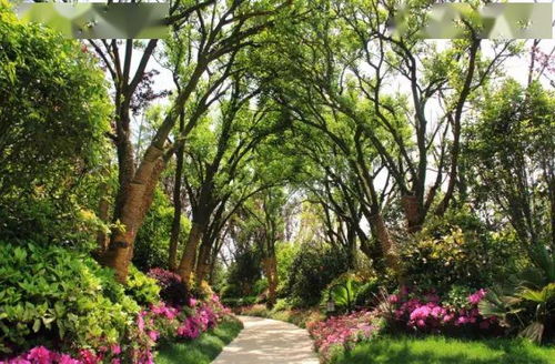 浇水，也有“技术”