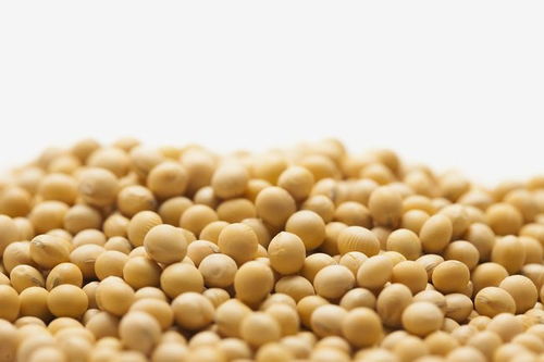 大豆增产小窍门：喷施哪种农药Zui有效？