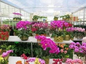 获取市场关门时间， 有多种途径