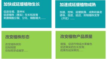 加盟流程详解