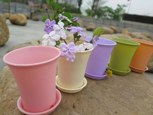 春天是分苗好时节