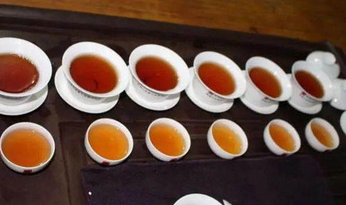 乌龙茶的历史演变过程中，有哪些代表性的品种及其特点