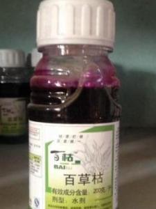 大豆喷百草枯的原理