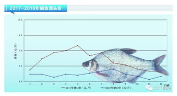 根据鳊鱼饲料投喂比例精准控制指南，如何结合水温与生长阶段双维度调节方案，优化投喂频率以实现最佳生长效果？