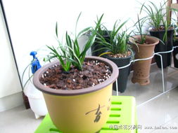 第一步：准备工作， 不嫩马虎