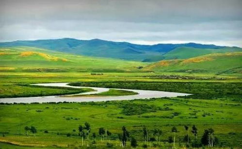 黄金资源，草原的宝藏