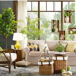 餐厅花艺与绿植布置