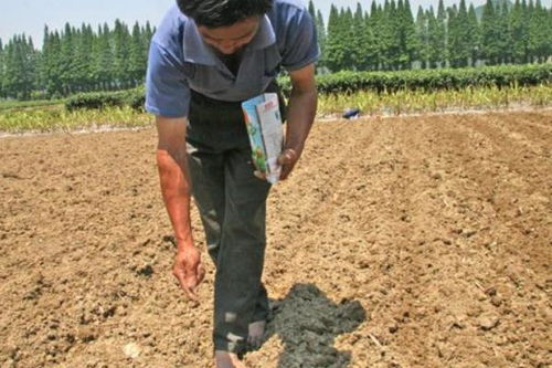 王师傅的丝袜挂井水法