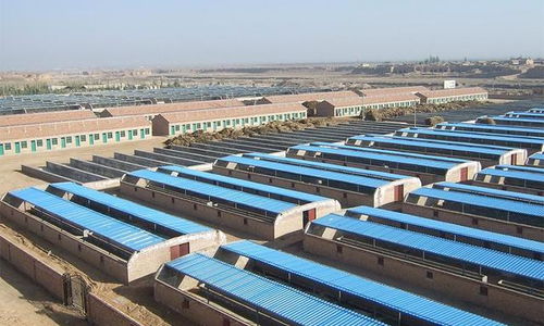 农业养殖需顶层规划，助力产业升级