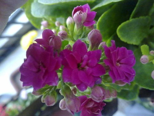 阳光与水分的调和