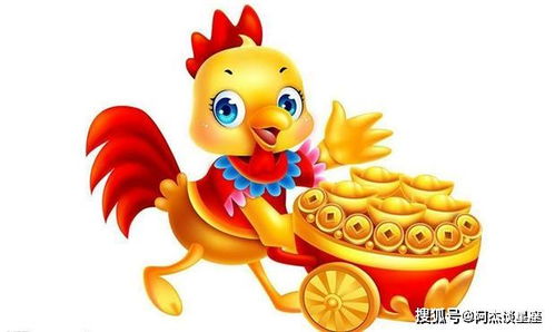 属虎：养大型绿植