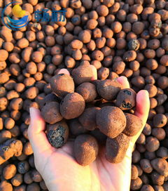 实测对比（2025年3月）