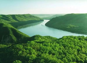 绿色意识铭刻在生命之上