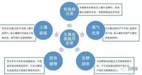 误区一：剂量越大越好