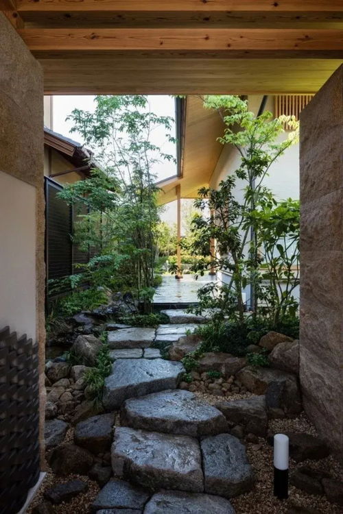 松树在日式园林中的绿色精灵