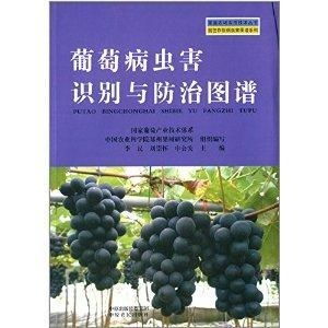 啶虫脒和毒死蜱混合使用对防治哪些作物病虫害效果更好？