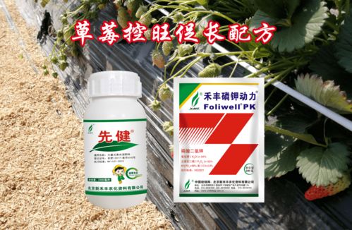 什么是控旺周期？