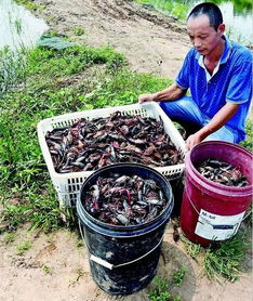 邻居农药洒我家墙上，我该怎么办？