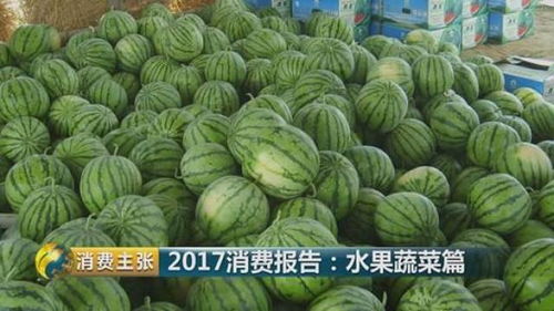 山东西瓜品质优良，却因运输、销售渠道不畅