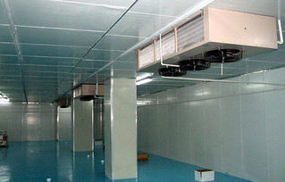 鲜花冷库储存秘籍， 保鲜梗长久