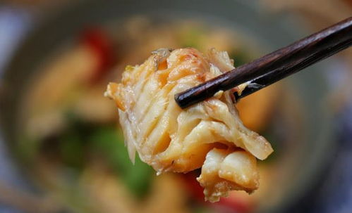 肉鸡清炖，简单易做