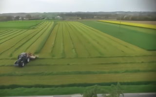 草坪太难伺候？试试这些