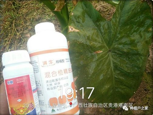 三环唑：农作物的守护神