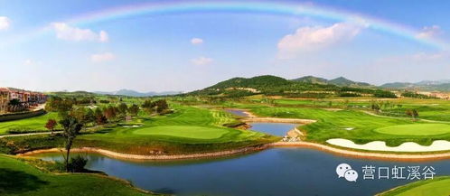 三大果岭草种性嫩对决