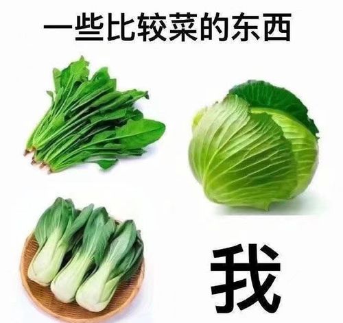 揭秘菜苗不长绿之谜：如何应对菜苗变黄的困境？