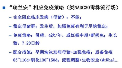 如何精准匹配猪场蓝耳净化路径，避免冤枉钱？