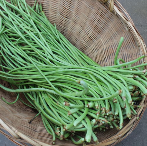 蔬菜上的农药难溶于水