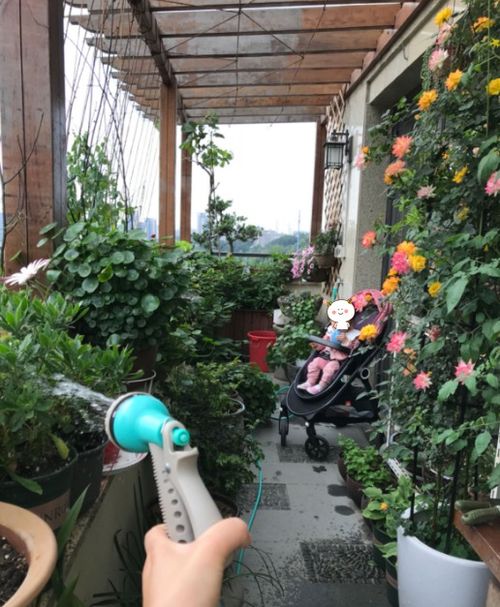 五月开什么花？这几种花让你家的阳台变花园