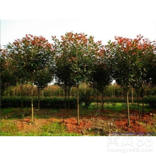 选地方， 就像选家一样