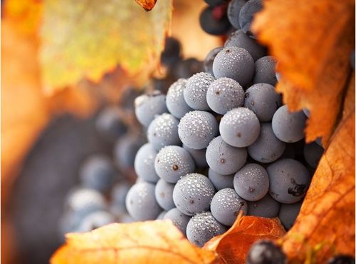 专家说：放心吧， 只要不是超标，一般没问题