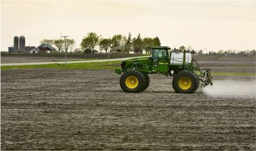 大蒜田杂草的特点