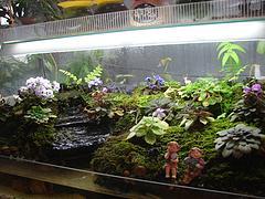 二、 花卉租赁市场的品种丰富与个性化需求