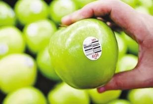 花石榴的药用价值