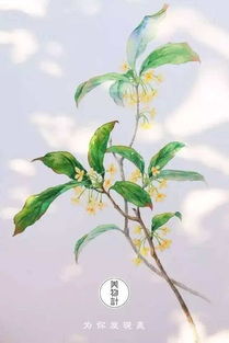 月桂花为什么不能吃？含有毒素