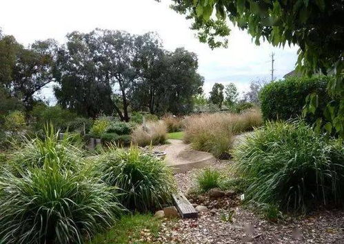 草本景观植物的丰富世界