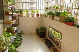 阳台变花园，心情也会变好