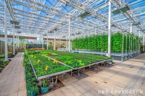 注重运用科学的防治方法