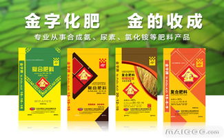 网上购物的奇妙世界