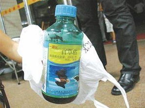 压力大，孩子怎Neng承受？