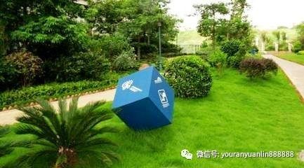 公共绿地里的草地，哪些可依平安踩踏呢？