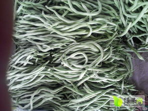 山东莘县豆角价格波动大，原因复杂