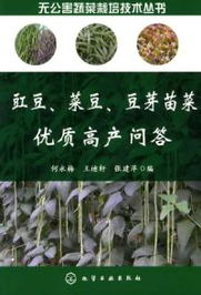 种植豆菜，除草剂怎么选？
