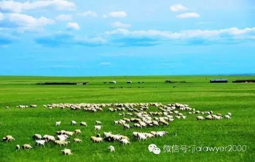 后海四合院墙根的虎尾草才该申遗