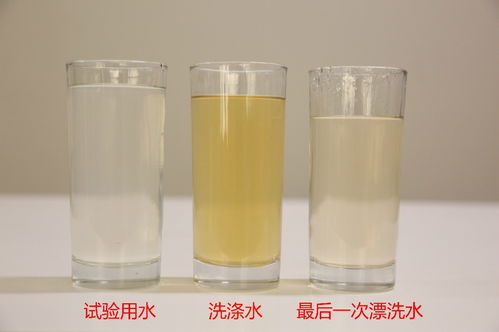 肤色与薄藤紫，那完美的搭配