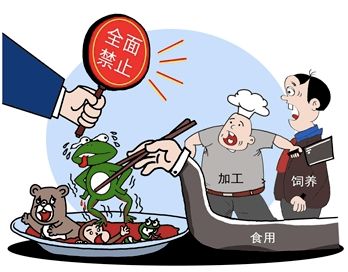 环保禁养令频发，养殖户年损20万，转型出路在哪里？