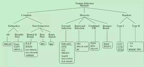 芽点的挑选：寻找“小短腿”